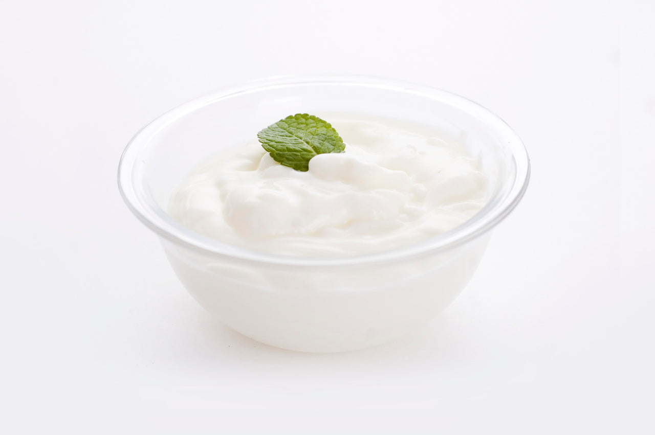 Yogurt Starter Cultures - Pack of 5 Freeze-dried Culture Sachets for Balkan Style Plain Yogurt - NPSelection 