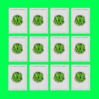 Thumbnail for Yogurt Starter Cultures - Pack of 12 Freeze-Dried Sachets for Lactobacillus Rhamnosus and L.Gasseri Yogurt - NPSelection 