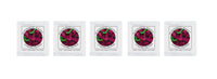 Thumbnail for Buy Online Pack of 5 Freeze-dried Culture Sachets for Acidophilus Yogurt 