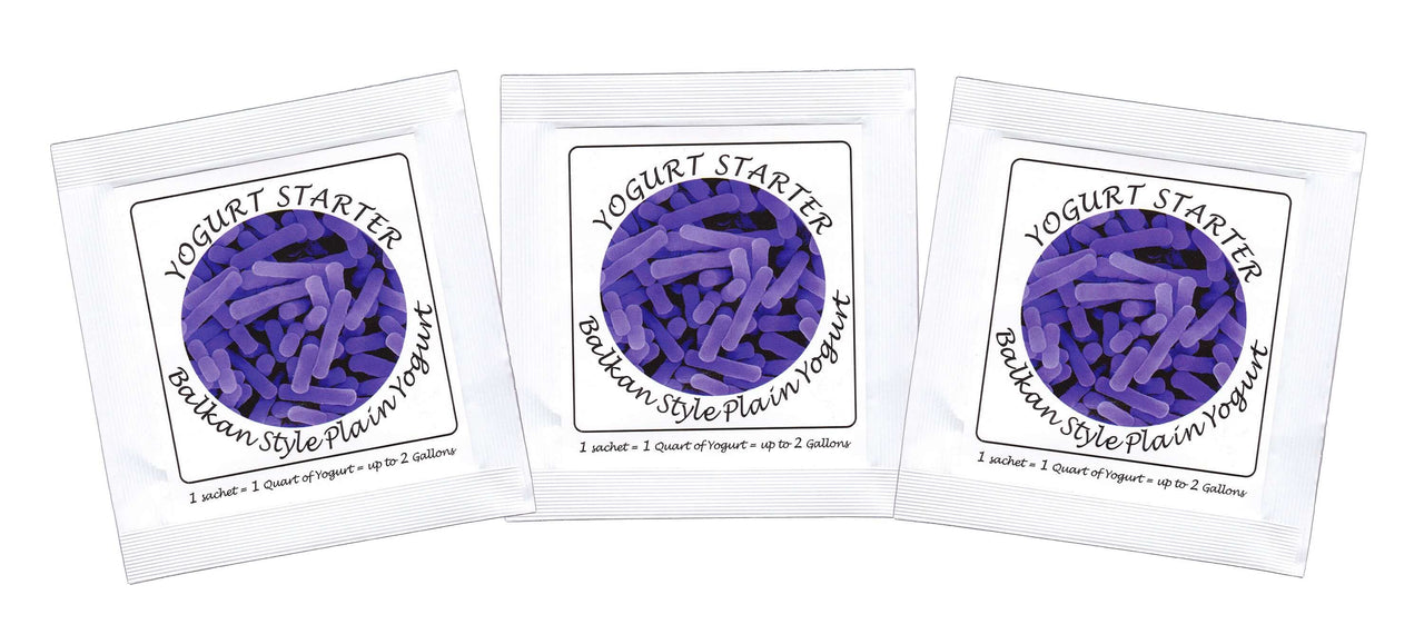 Buy Online Pack of 3 Freeze-dried Culture Sachets for Balkan Style Plain Yogurt 