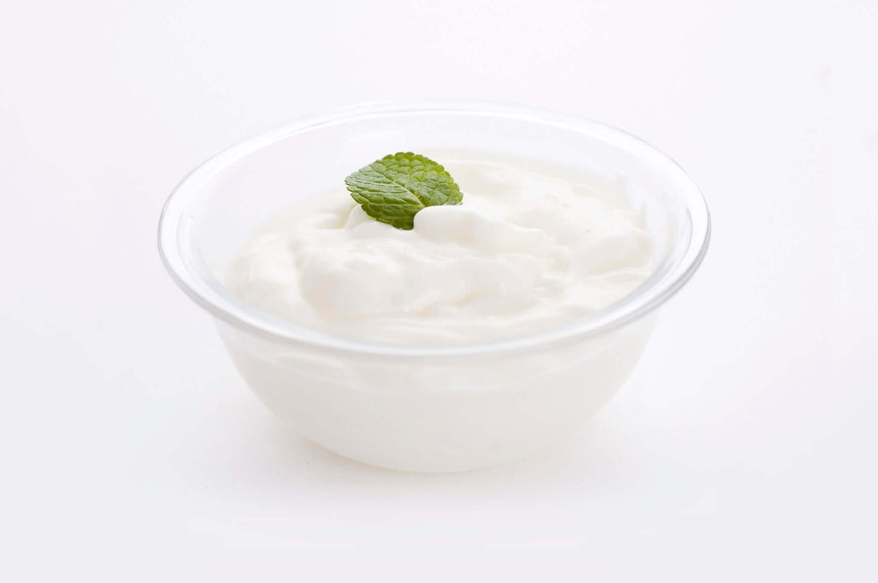 Yogurt Starter Cultures - Pack of 3 Freeze-dried Culture Sachets for Balkan Style Plain Yogurt - NPSelection 