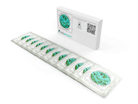 Thumbnail for Yogurt Starter Cultures - Pack of 12 Freeze-dried Culture Sachets for Bifido Yogurt - NPSelection 