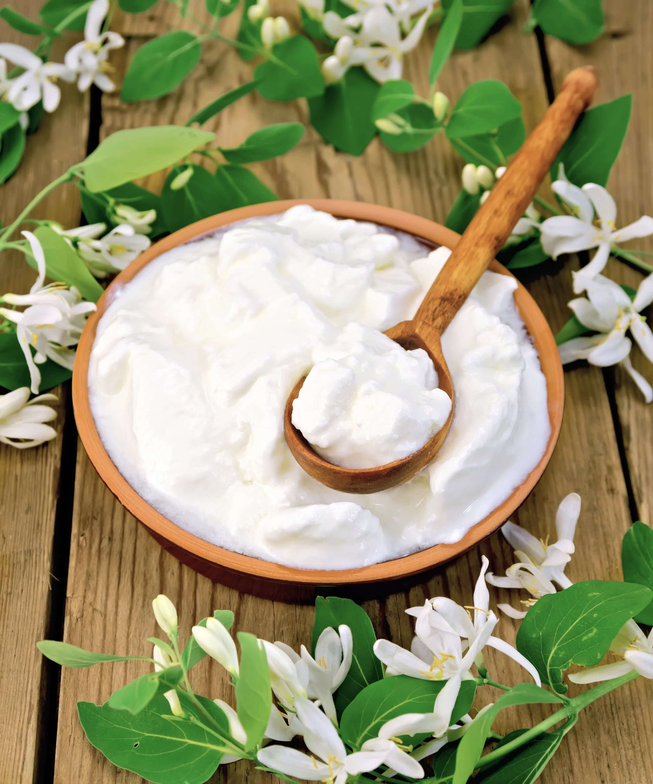 L.Salivarius and L.Reuteri Starter Cultures for homemade yogurt