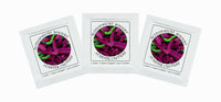 Thumbnail for Buy Online Pack of 3 Freeze-dried Culture Sachets for Acidophilus Yogurt